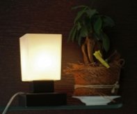 lampa asperatus